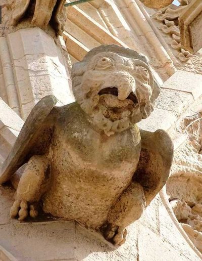 gargola ave catedral