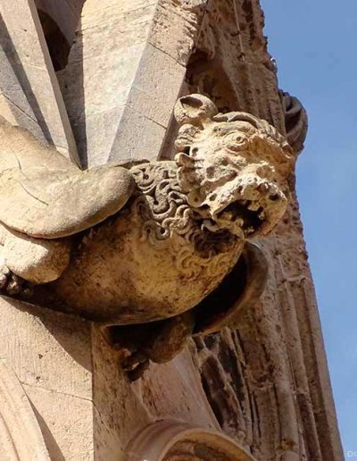 Gárgola de la Catedral de Palma de Mallorca. Es un monstruo animal.
