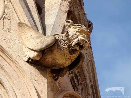Gárgola de la Catedral de Palma de Mallorca. Es un monstruo animal.