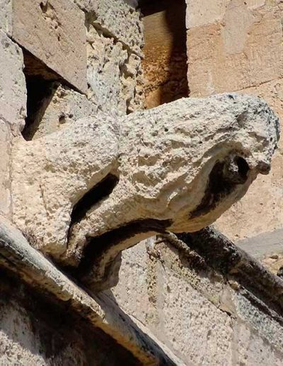 león en gárgolas