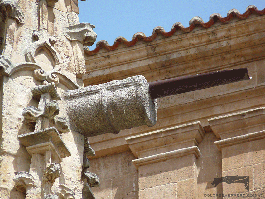 gargolas de Salamanca