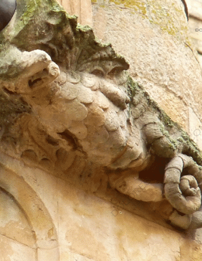 Gárgola de la Catedral Nueva de Salamanca. Es un animal mitológico: un dragón.