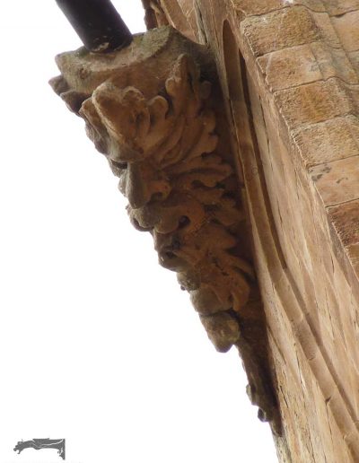 gargolas catedral Salamanca