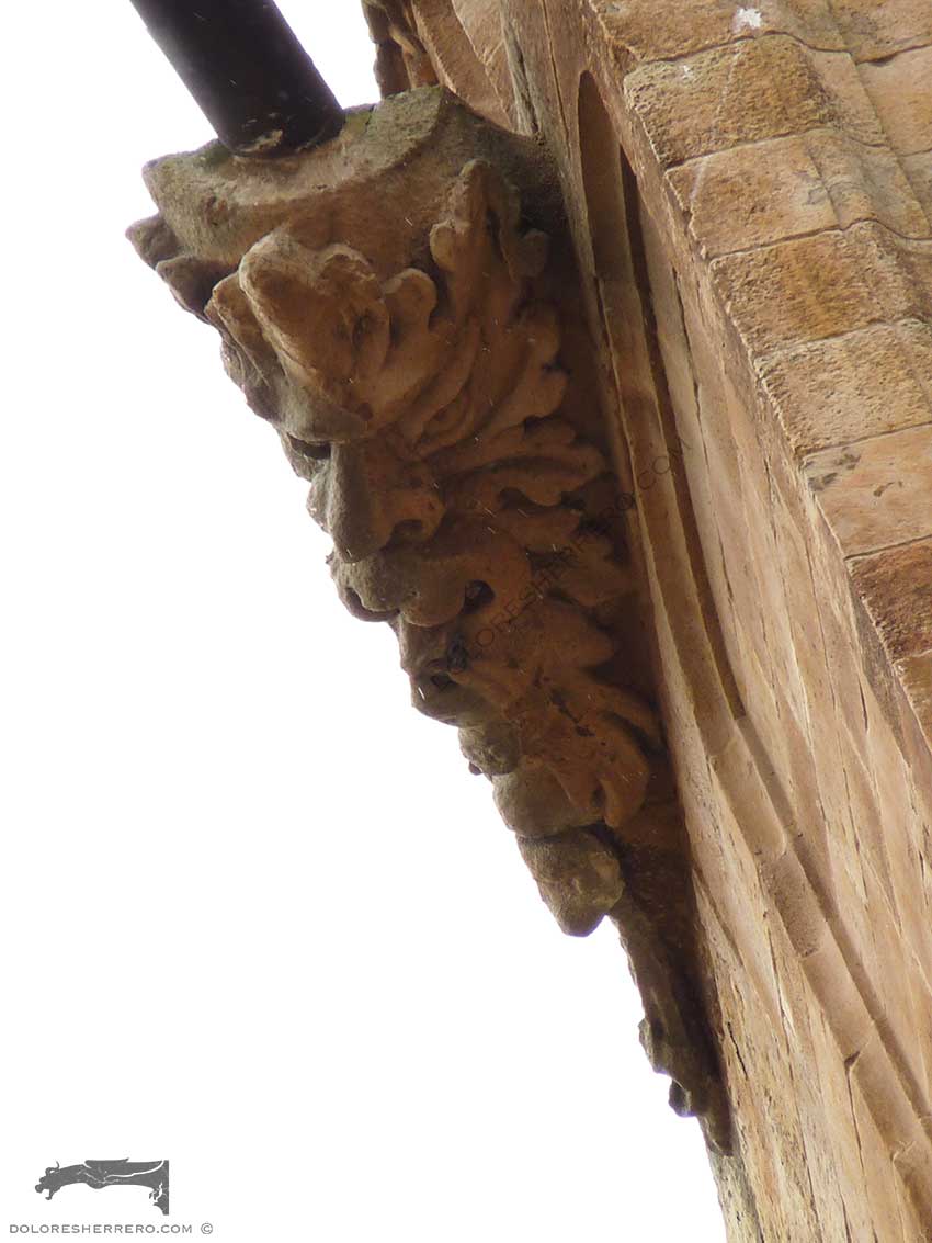 gargolas catedral Salamanca