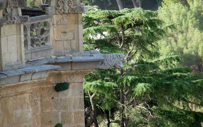Singularidad y belleza artística. El imaginario de las gárgolas de la Catedral de Segovia