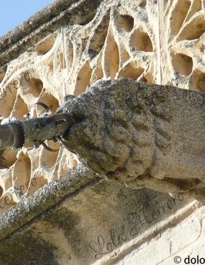 león en gárgolas