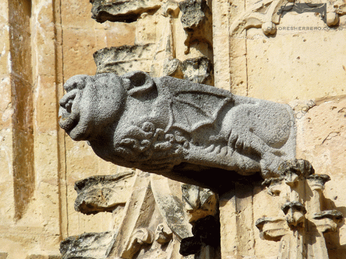 gargolas de Segovia