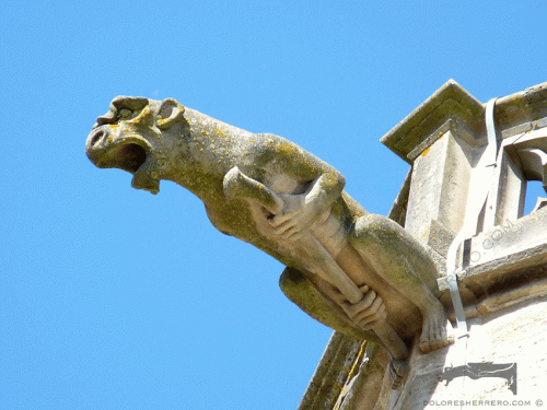 gárgola demonio catedral