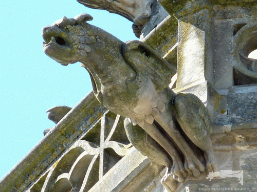 gargolas gargouilles gargoyles