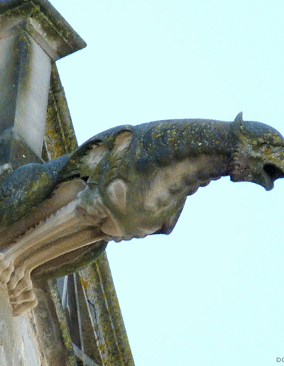 Mirepoix Gárgola de la Catedral de St.gif20
