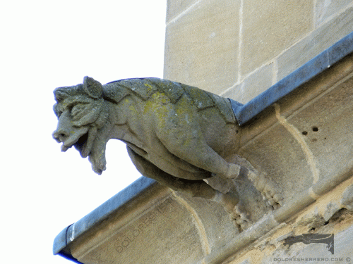 lasgargolasdh gargoyles