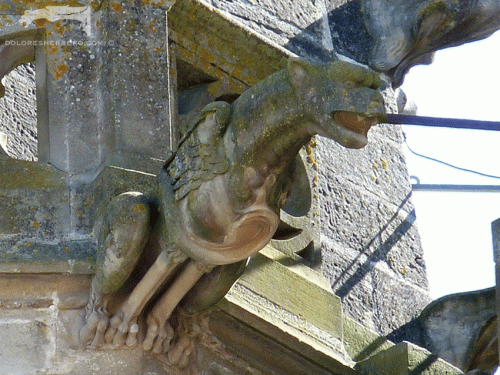gárgolas Notre Dame