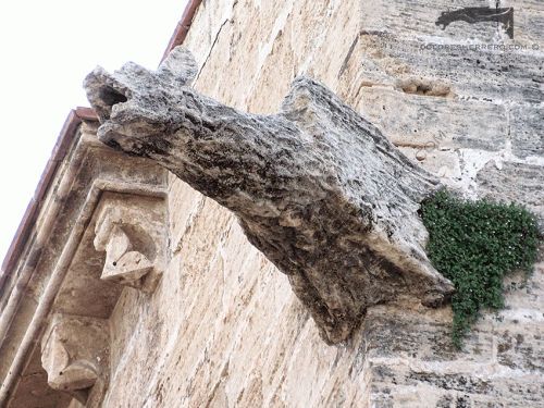 Gárgola de la Catedral de Valencia. Es un monstruo animal.