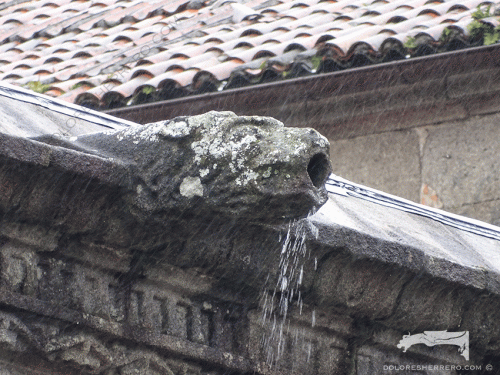 Monstrous gargoyle from the Royal Hospital of Santiago de Compostela (Spain).