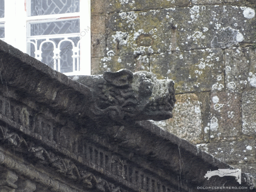 Monstrous gargoyle from the Royal Hospital of Santiago de Compostela (Spain).