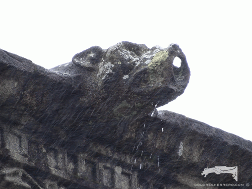 Gargoyle from the Royal Hospital of Santiago de Compostela (Spain). It is a real animal: a dog.