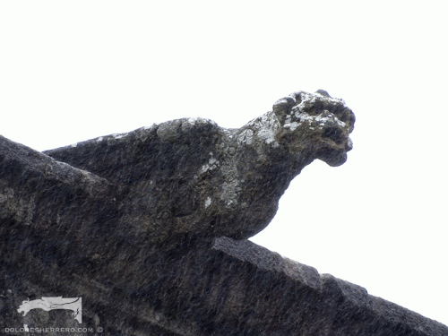 architecture gargoyles sculpture
