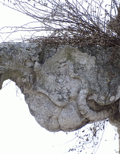 dragón, gárgolas, mitología