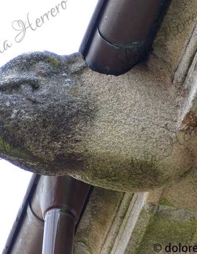 animales insólitos gárgolas