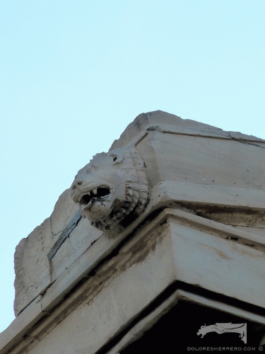 Gargoyle from the Parthenon in Athens (Greece). It is a real animal: a lion.
