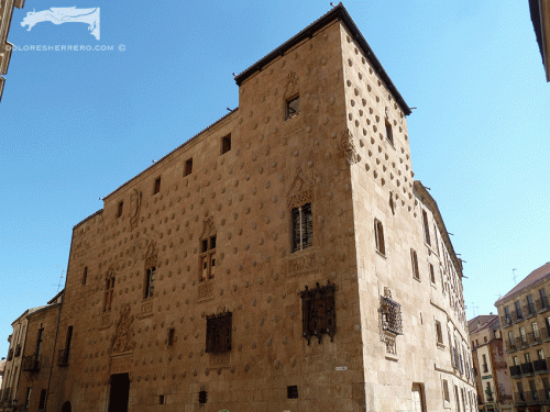 Gargoyles from the Casa de las Conchas in Salamanca (Spain).