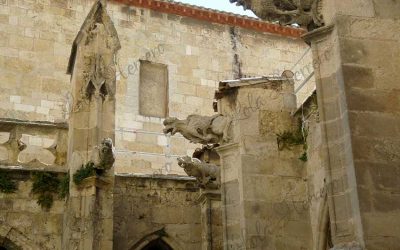 Las gárgolas y sus pequeños acompañantes. El Claustro de la Catedral de Narbonne