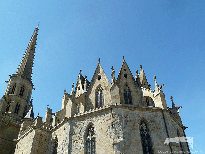 gargolas, catedral, arquitectura