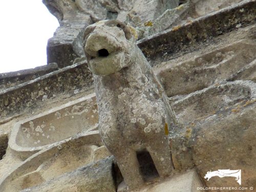 Gárgola de la Iglesia Monolítica de Saint-Émilion (Francia). Es un animal real: un perro.