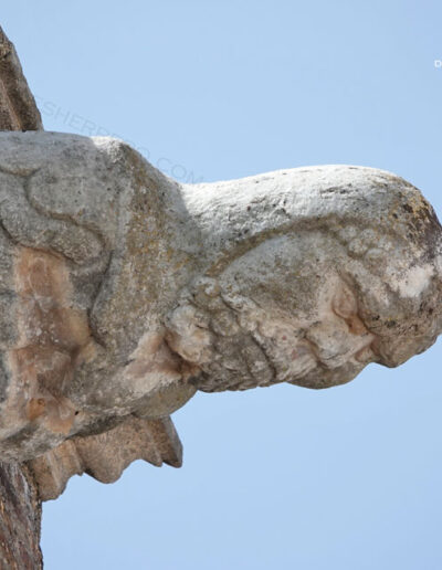 Gárgola de la Iglesia de Nuestra Señora de la Asunción de Aroche (Huelva). Es una figura humana.