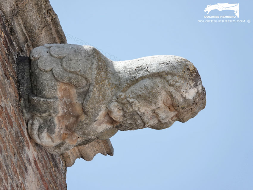 Gárgolas de la Iglesia de Nuestra Señora de la Asunción de Aroche (Huelva) 31 Gárgola de la Iglesia de Nuestra Señora de la Asunción de Aroche (Huelva). Es una figura humana.
