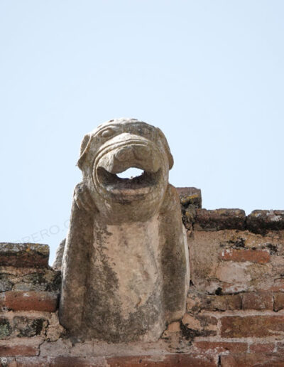 Gárgola de la Iglesia de Nuestra Señora de la Asunción de Aroche (Huelva). Es un animal real: un perro.