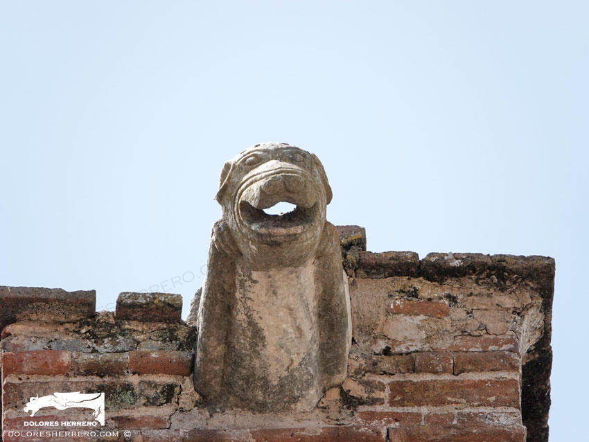 Gárgolas de la Iglesia de Nuestra Señora de la Asunción de Aroche (Huelva) 15 Gárgola de la Iglesia de Nuestra Señora de la Asunción de Aroche (Huelva). Es un animal real: un perro.