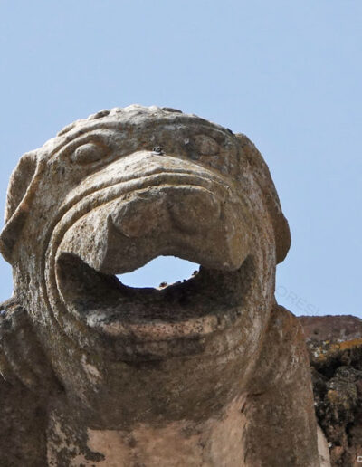 Gárgola de la Iglesia de Nuestra Señora de la Asunción de Aroche (Huelva). Es un animal real: un perro.