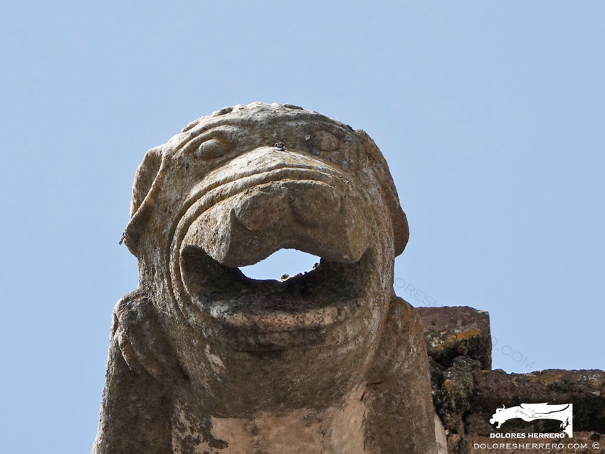 Gárgolas de la Iglesia de Nuestra Señora de la Asunción de Aroche (Huelva) 16 Gárgola de la Iglesia de Nuestra Señora de la Asunción de Aroche (Huelva). Es un animal real: un perro.