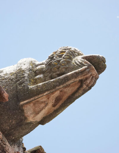Gárgola de la Iglesia de Nuestra Señora de la Asunción de Aroche (Huelva). Es un animal real: un perro.