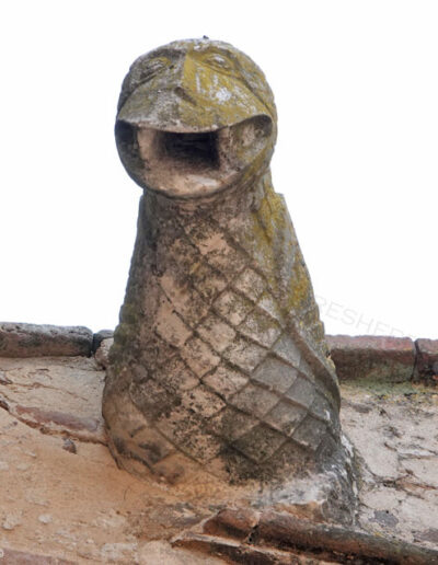 Gárgola de la Iglesia de Nuestra Señora de la Asunción de Aroche (Huelva). Es un animal real: un ave.