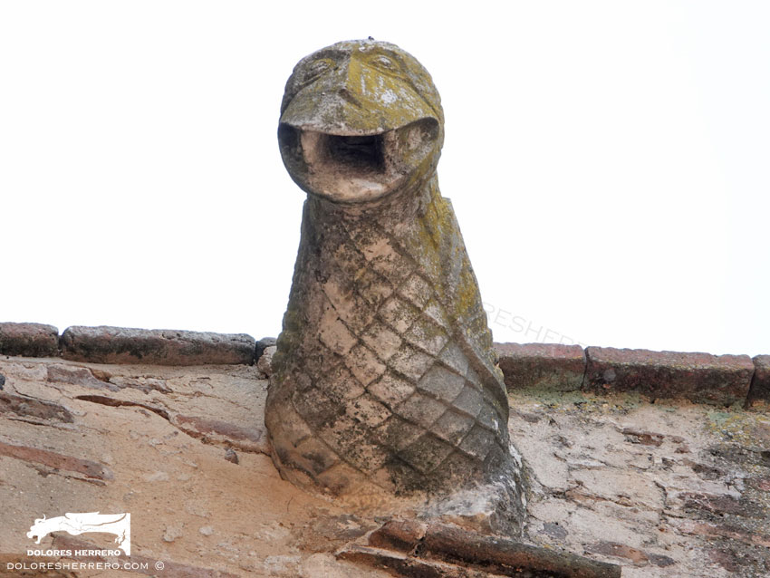 Gárgolas de la Iglesia de Nuestra Señora de la Asunción de Aroche (Huelva) 10 Gárgola de la Iglesia de Nuestra Señora de la Asunción de Aroche (Huelva). Es un animal real: un ave.
