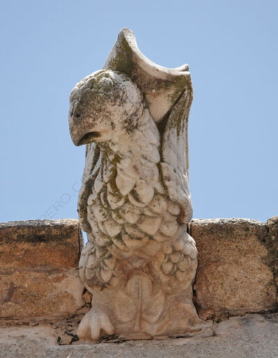 Gárgola de la Iglesia de Nuestra Señora de la Asunción de Aroche (Huelva). Es un animal real: un águila.