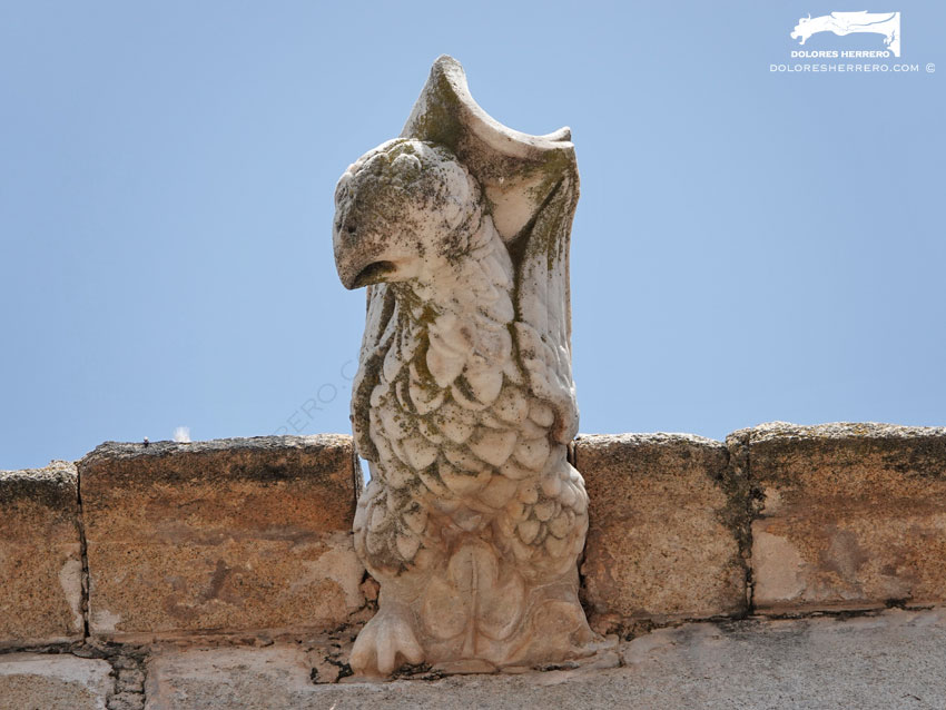 Gárgolas de la Iglesia de Nuestra Señora de la Asunción de Aroche (Huelva) 6 Gárgola de la Iglesia de Nuestra Señora de la Asunción de Aroche (Huelva). Es un animal real: un águila.
