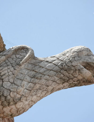 Gárgola de la Iglesia de Nuestra Señora de la Asunción de Aroche (Huelva). Es un animal real: un ave.