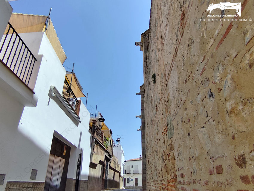 Gárgolas de la Iglesia de Nuestra Señora de la Asunción de Aroche (Huelva) 3 Gárgolas de la Iglesia de Nuestra Señora de la Asunción de Aroche (Huelva).