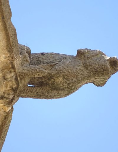 Gárgola de la Iglesia de Santa María la Mayor de Valderrobres (Teruel). Es un animal real: un perro.