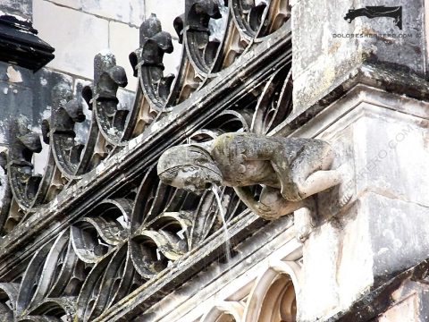 Functioning Gargoyle Gargoyles: Definition and Function in Medieval Architecture