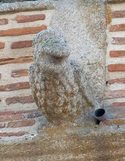 Gargoyle on Martín Muñoz de las Posadas (Segovia). A real animal: a bird.