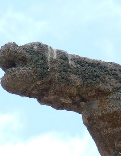 Gargoyle on Martín Muñoz de las Posadas (Segovia). An animal head with a collar.