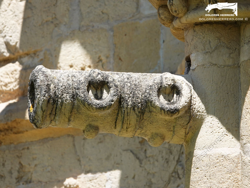 Gárgolas de la Iglesia de Nuestra Señora de la Asunción de Aroche (Huelva) 29 Gárgola del Monasterio de Santa Cruz de Coimbra (Portugal). Es un cañón.