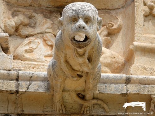 Gárgola del Monasterio de los Jerónimos de Lisboa (Portugal). Es un animal real: un mono.