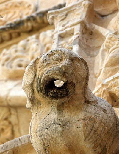 Gárgola del Monasterio de los Jerónimos de Lisboa (Portugal). Es un animal real: un perro con largas orejas.