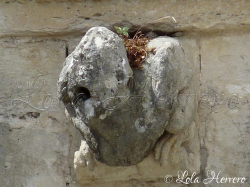 p1090593-copia