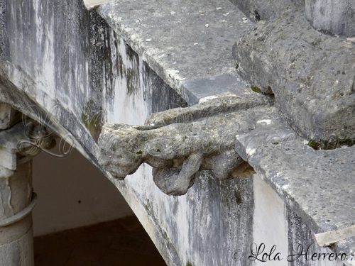 p1090649-copia
